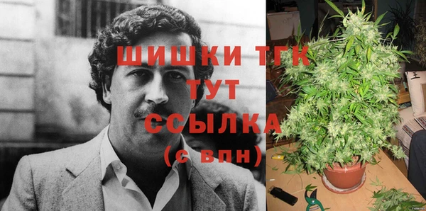 прущие грибы Белоозёрский