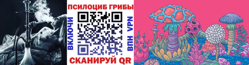 Галлюциногенные грибы Psilocybe  Реутов 